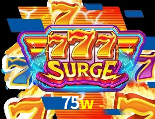 Segurança 2FA 75w